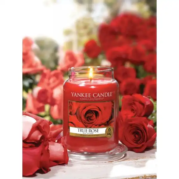 YANKEE CANDLE 1230690E
