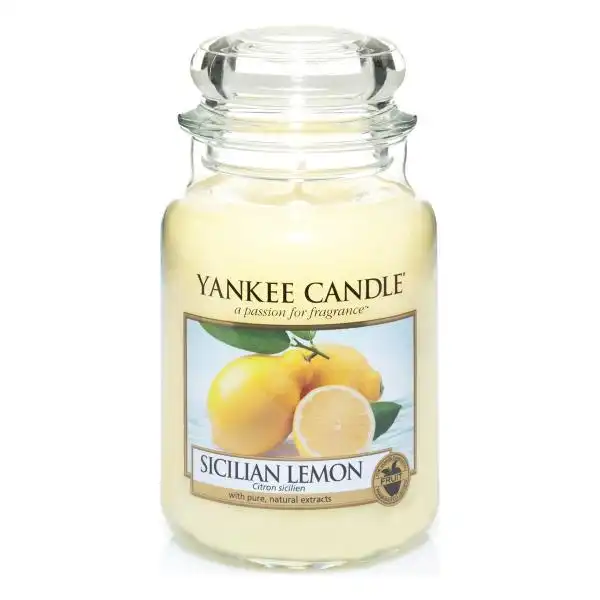 YANKEE CANDLE 1230635E