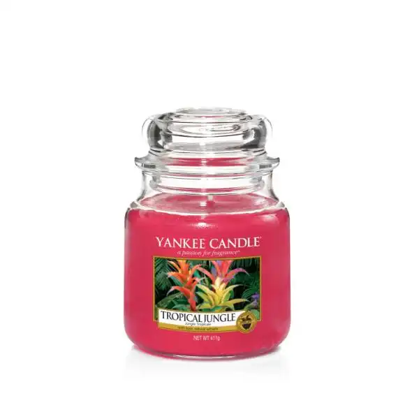 YANKEE CANDLE 1577813E