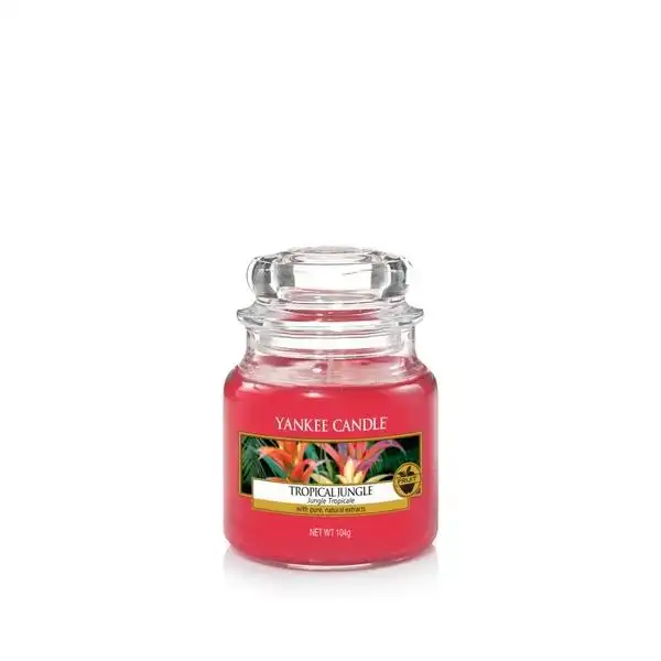 YANKEE CANDLE 1577817E