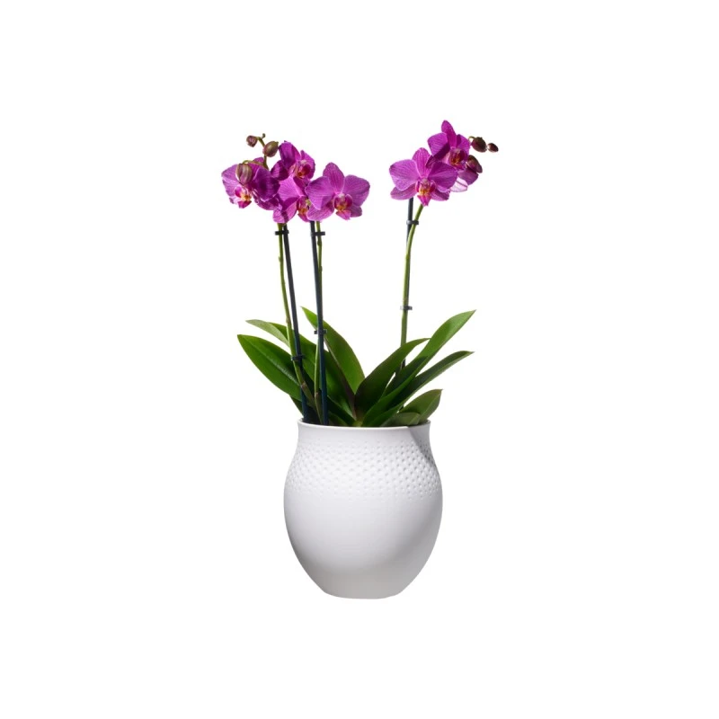 VILLEROY&BOCH 10-1681-5511 COLLIER BLANC ВАЗА 16 СМ