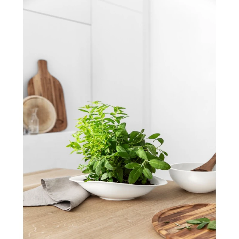 VILLEROY&BOCH 10-4257-8472 VAPIANO К-КТ КУПИ ЗА ПАСТА 2Ч