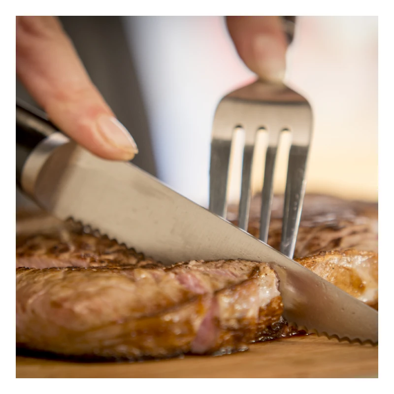 TEFAL K232S414 INGENIO ICE HARD K-KT 4НОЖА 11CM