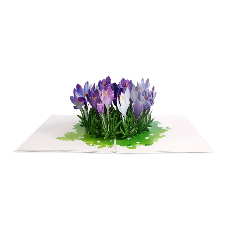 KIRIORI POP-UP КАРТИЧКА МИНЗУХАРИ