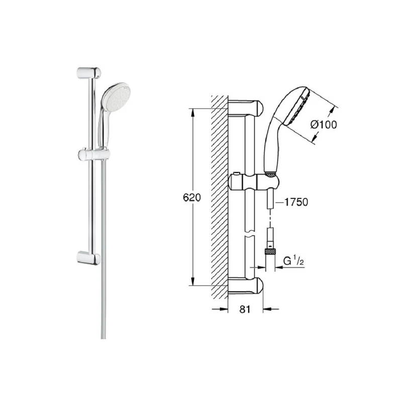 GROHE TEMPESTA 100 2 ВИДА СТРУИ 27598001