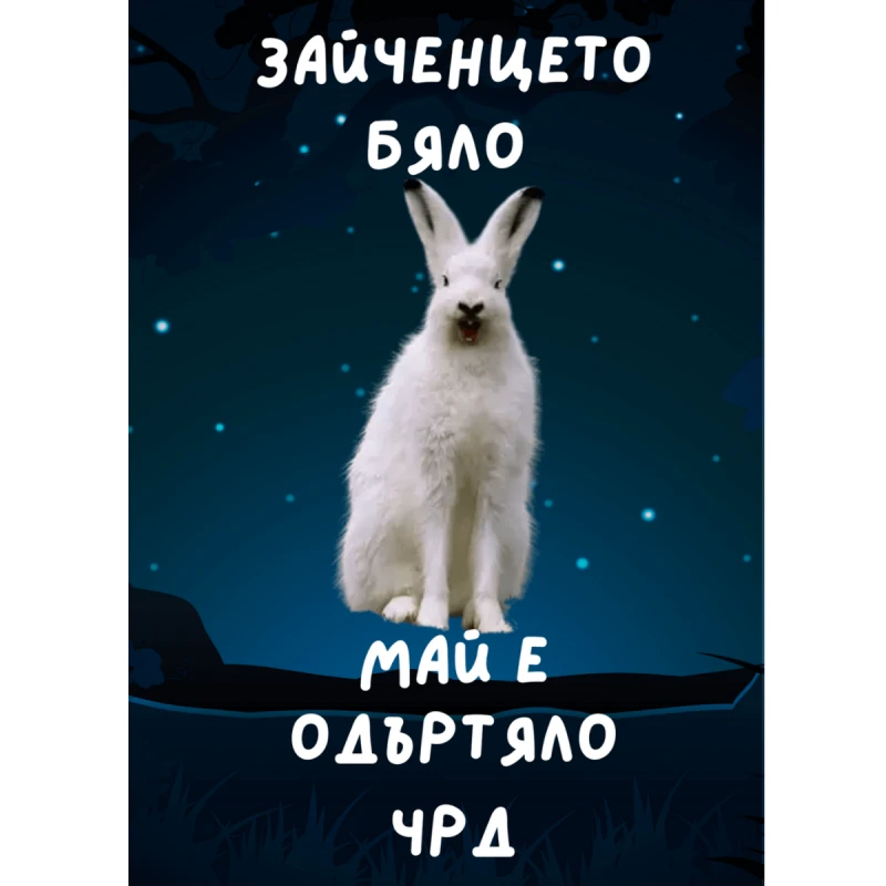 CRAZY STORE КАРТИЧКА ЗАЙЧЕНЦЕТО БЯЛО МАЙ Е ОДЪРТЯЛО