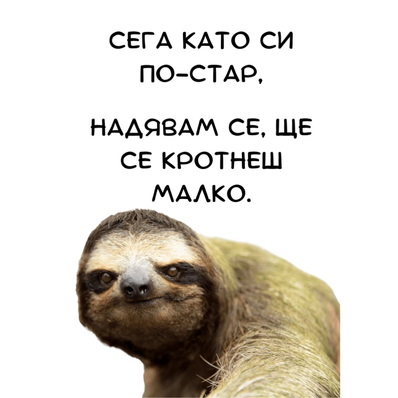 CRAZY STORE КАРТИЧКА СЕГА КАТО СИ ПО-СТАР...