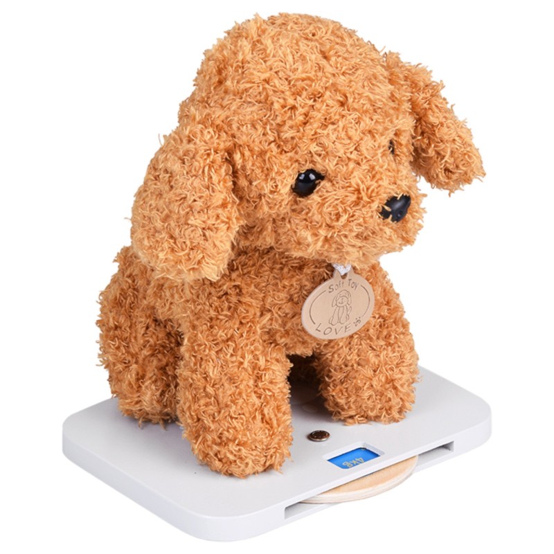 Детска Ветеринарна Клиника Играчка GINGER HOME – Дървен Ветеринарен Център с Аксесоари и Плюшено Куче, 89×57×30 см