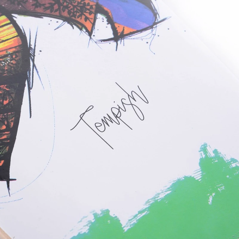 Лонгборд Tempish FISH, 32.5 inch