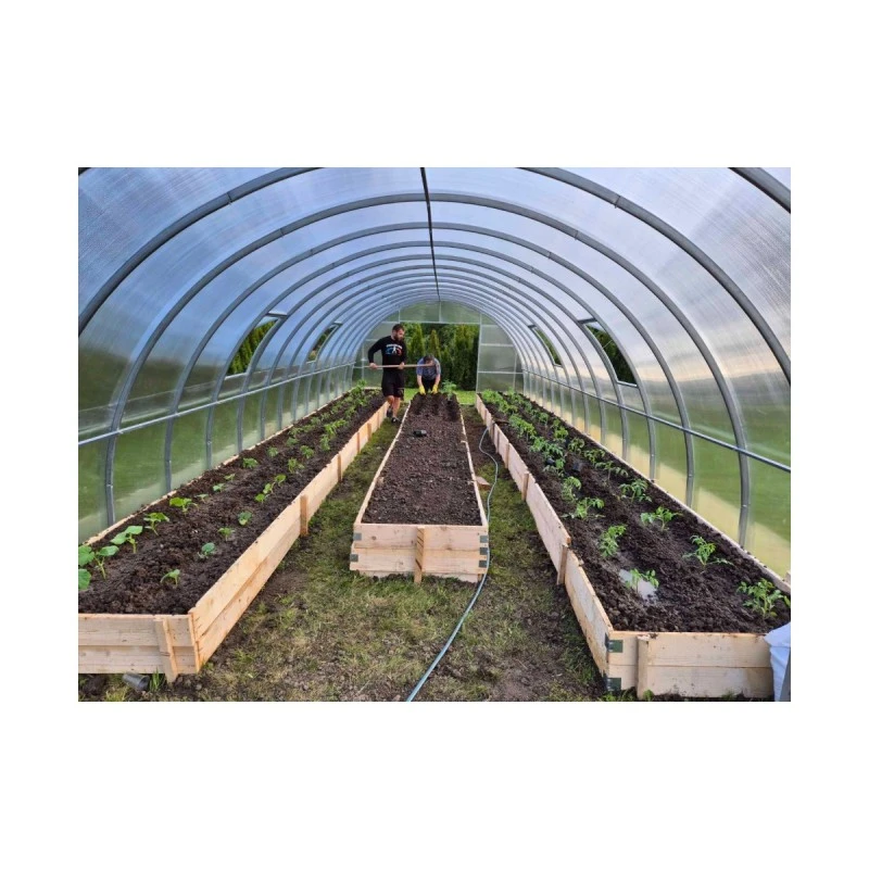 Оранжерия Primaterra Agro 4 х 8 х 2,30 м
