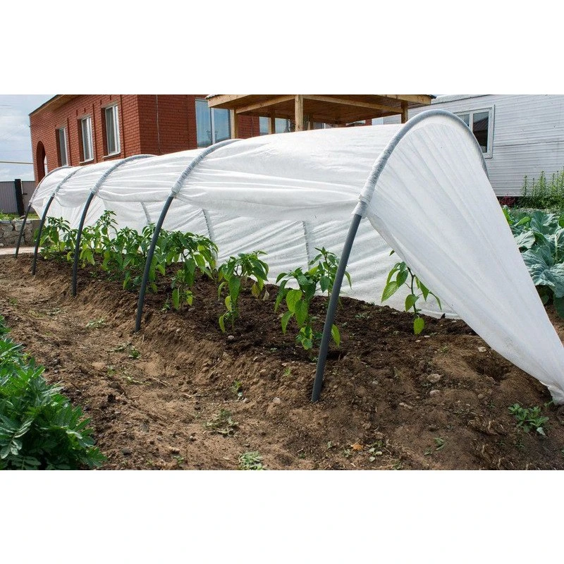 Парник Primaterra Letto Light, 6м