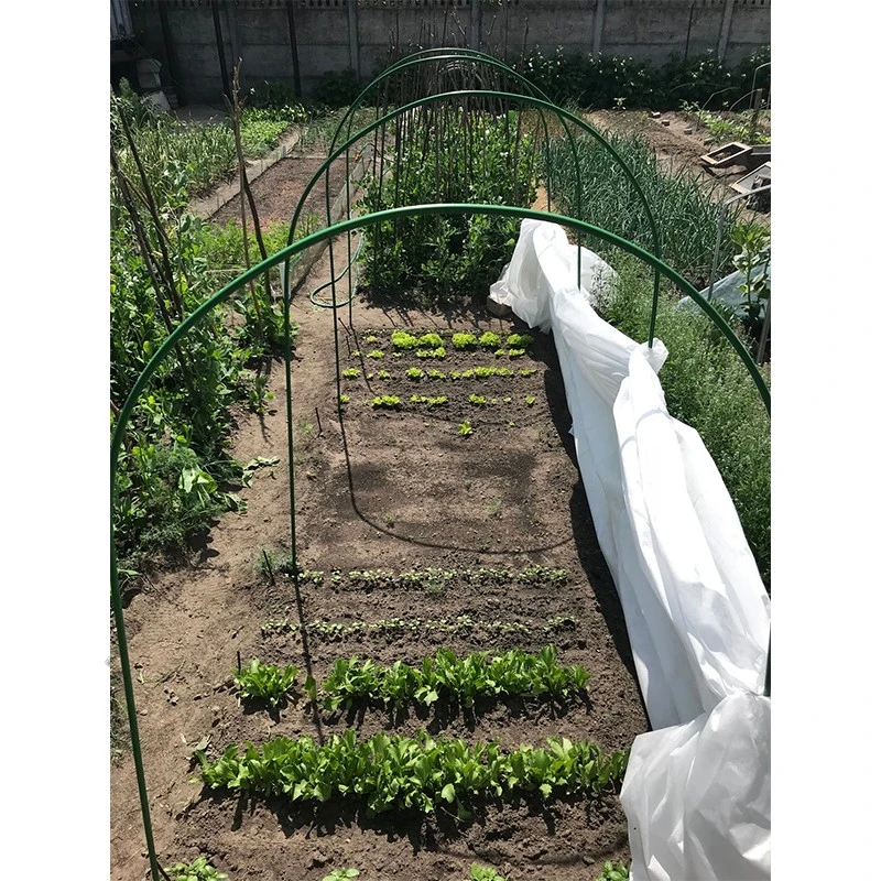 Парник Primaterra Letto Plus, 7м