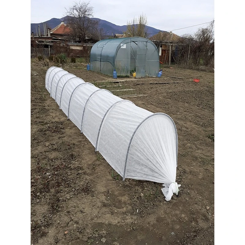 Парник Primaterra Letto Standart, 8м