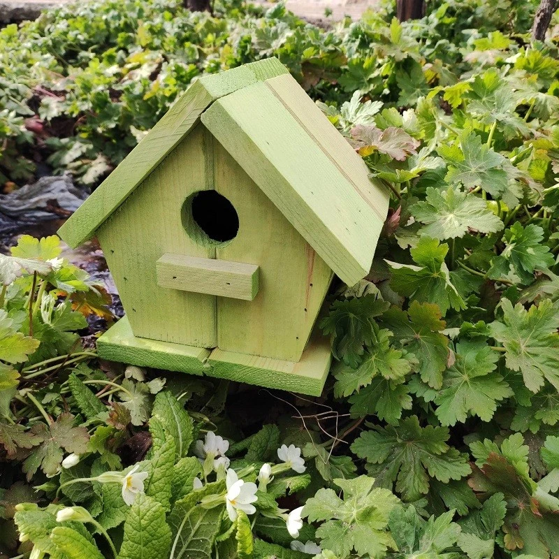 Къща за Птици, Зелена