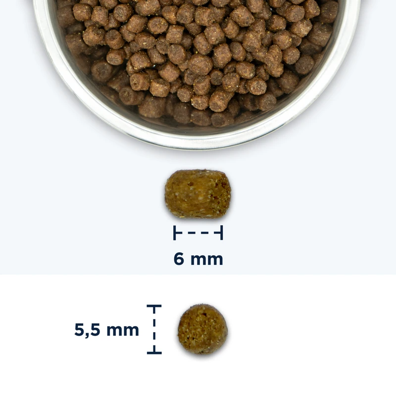 EUKANUBA Kitten, Rich in Fresh Chicken, 10 kg