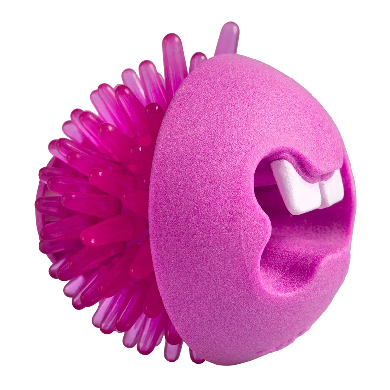 Rogz Fred Treat Toy, Medium, Pink