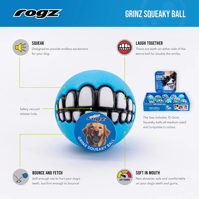 Rogz Grinz Squeaky Ball, Medium, Turquoise