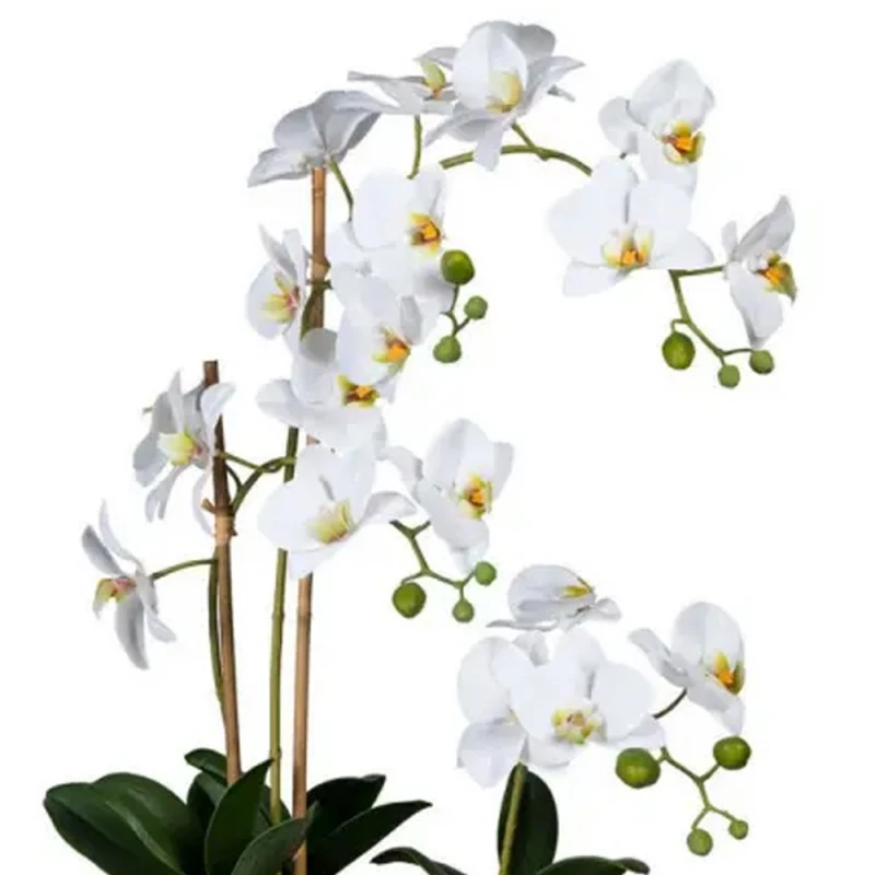 Изкуствени цветя в саксия Jup орхидеи Orchideen phalaenopsis 2130740 9236-6, 12 цвята, Керамична ваза тип лодка 37x11x9см, Бял, 110 см
