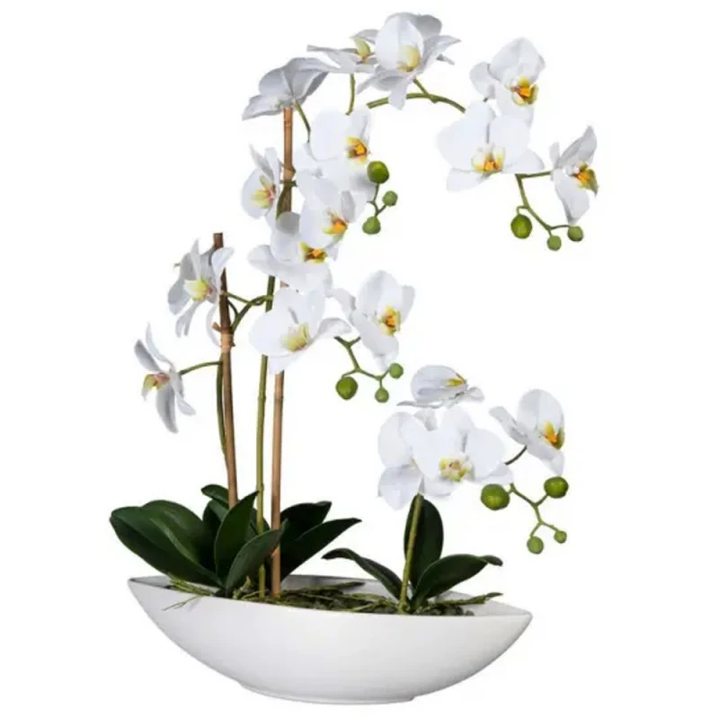Изкуствени цветя в саксия Jup орхидеи Orchideen phalaenopsis 2130740 9236-6, 12 цвята, Керамична ваза тип лодка 37x11x9см, Бял, 110 см