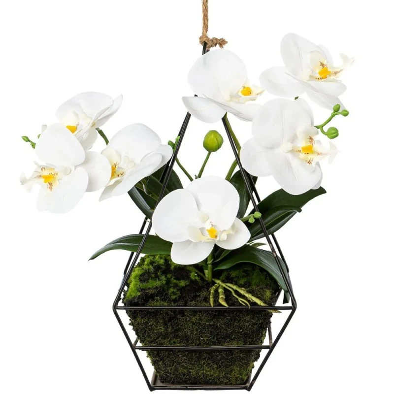 Висяща орхидея Jup 2201940 9236-36, С метална рамка,  Бял,  26 см