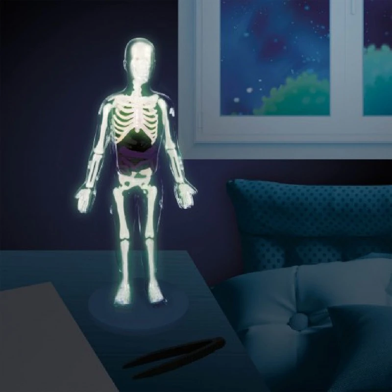 Човешкото тяло Buki Frace