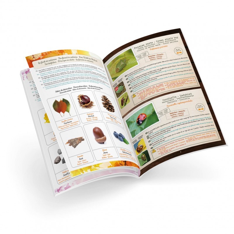 Образователна играчка, Buki France, Терариум, 21.3 х 9.8 х 15.2 см 