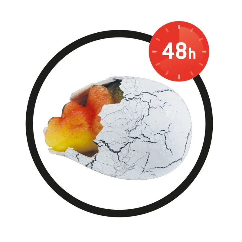 Самоизлюпващо се магическо яйце - Дино - Buki France