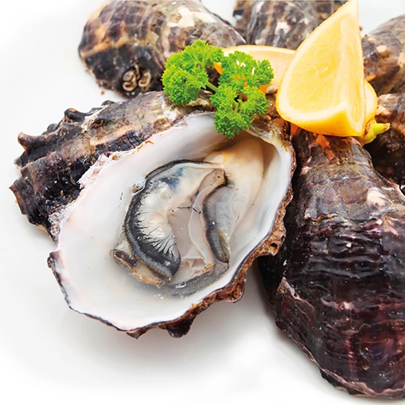 Нож за стриди Tescoma Presto