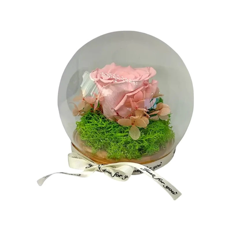 Естествена вечна роза, J5