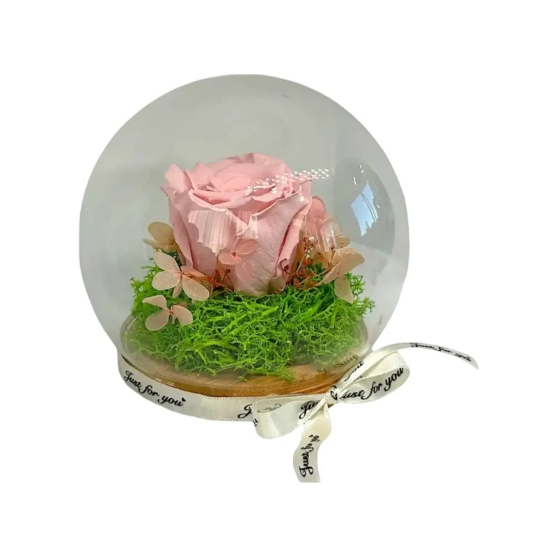 Естествена вечна роза, J5