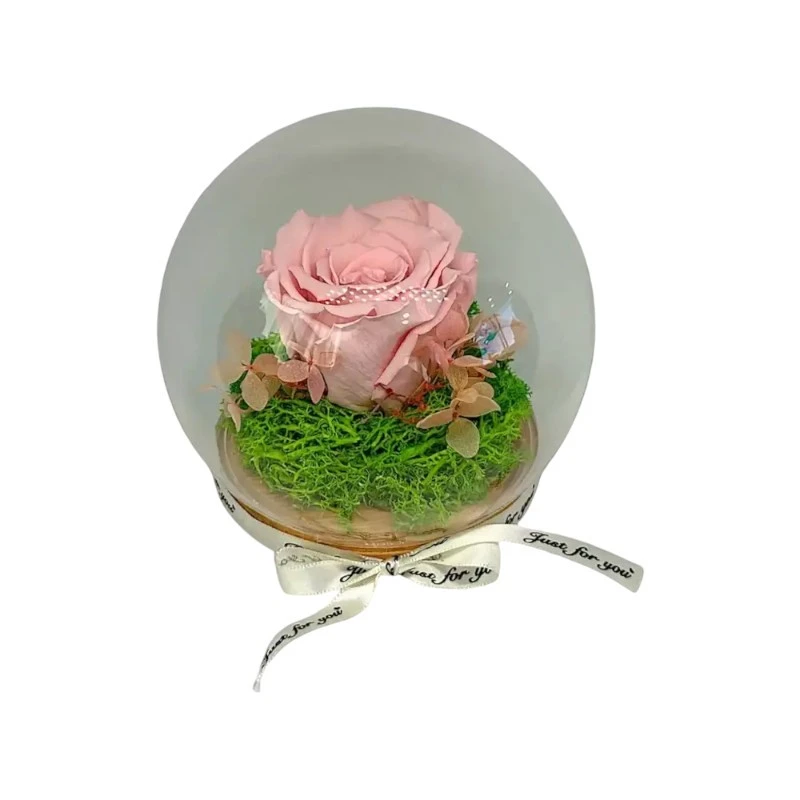 Естествена вечна роза, J5