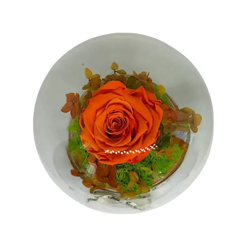 Естествена вечна роза, J13