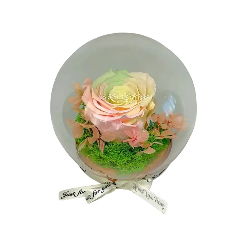 Естествена вечна роза, J6