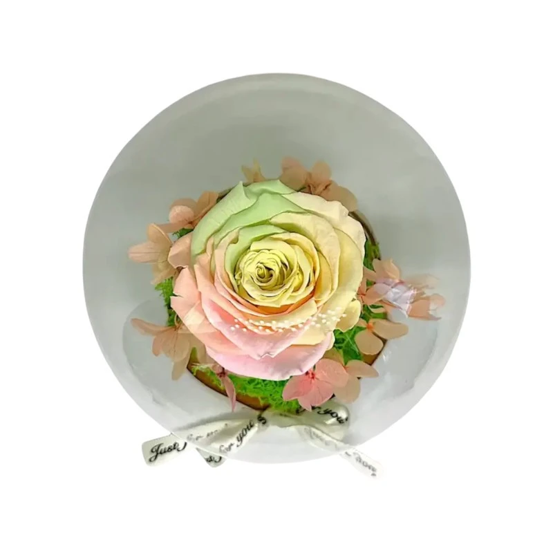 Естествена вечна роза, J6