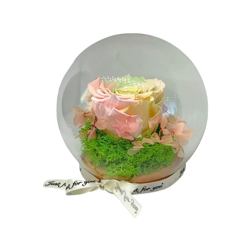 Естествена вечна роза, J6