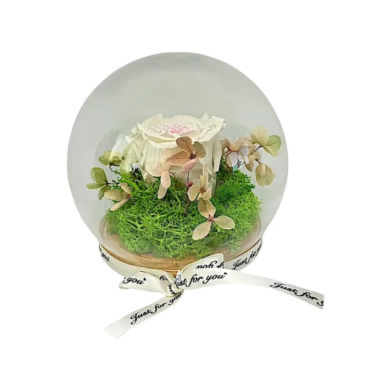 Естествена вечна роза, J1