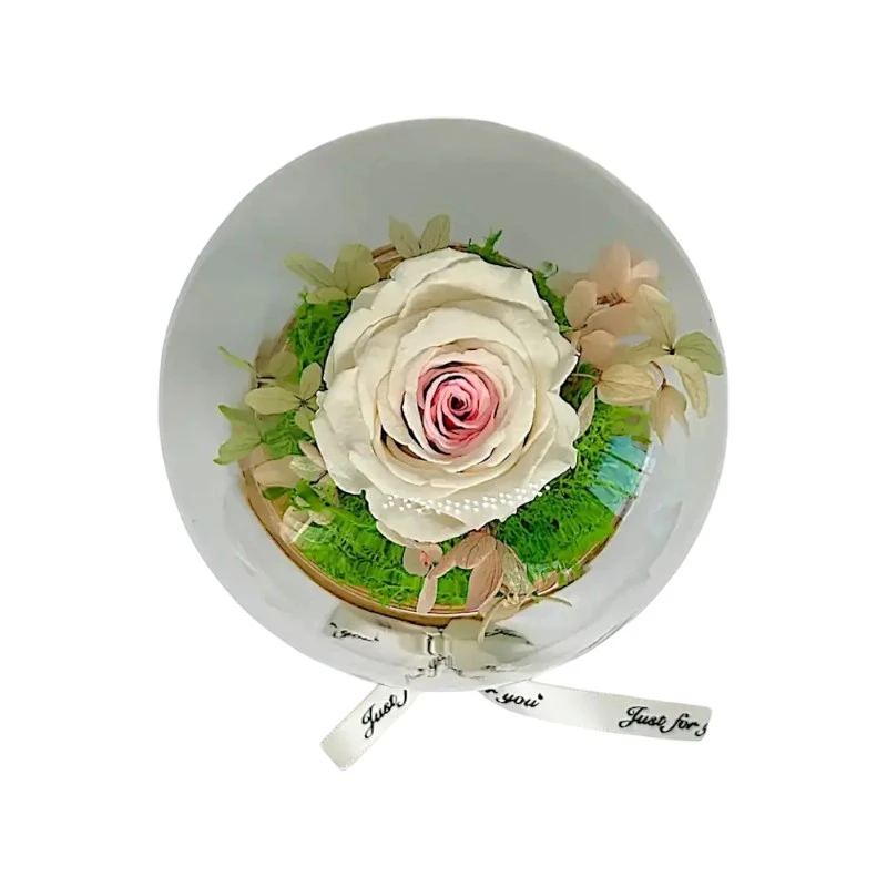 Естествена вечна роза, J1