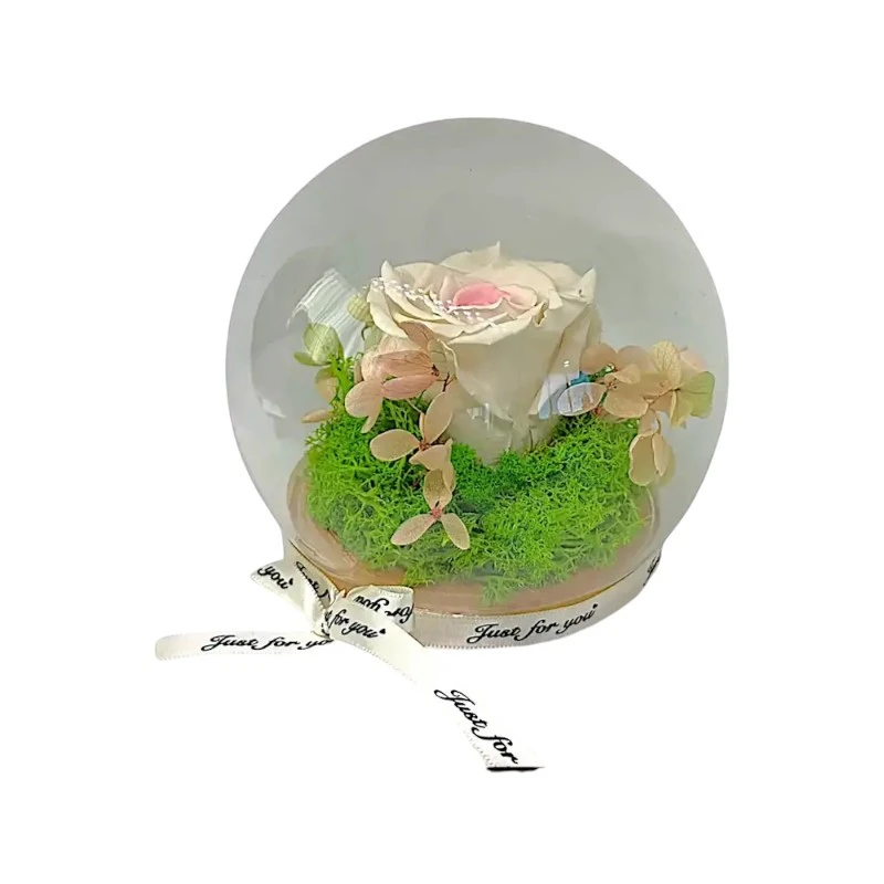 Естествена вечна роза, J1