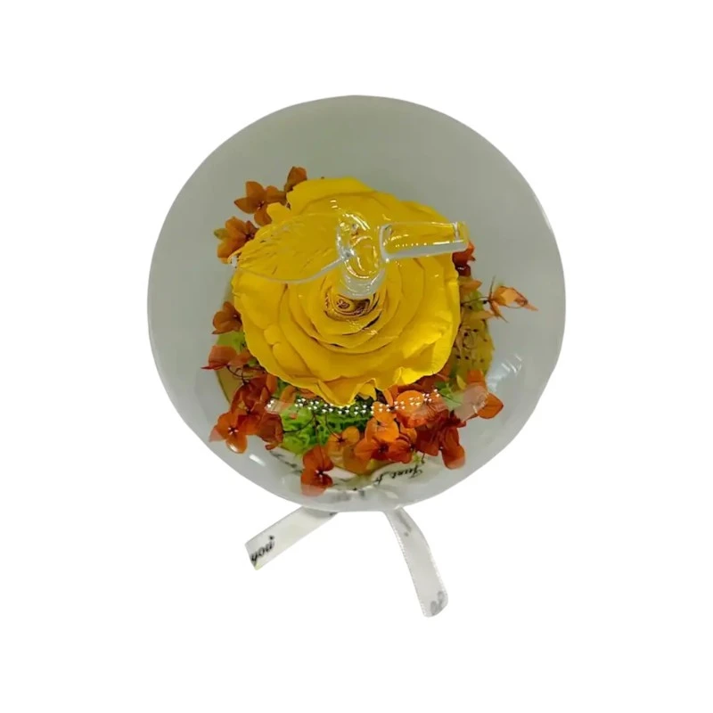 Естествена вечна роза, J2