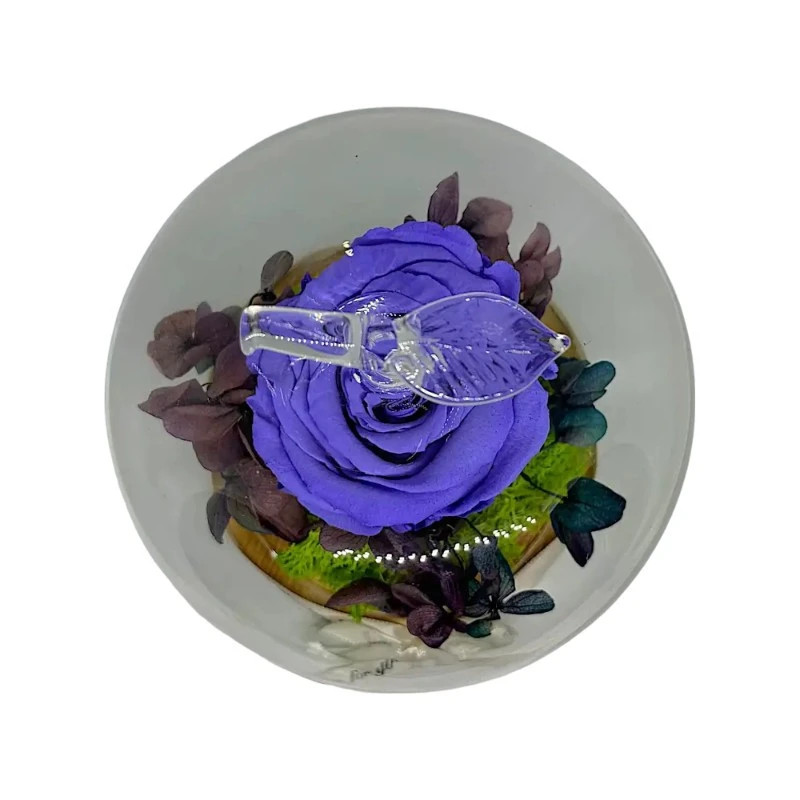 Естествена вечна роза, J19