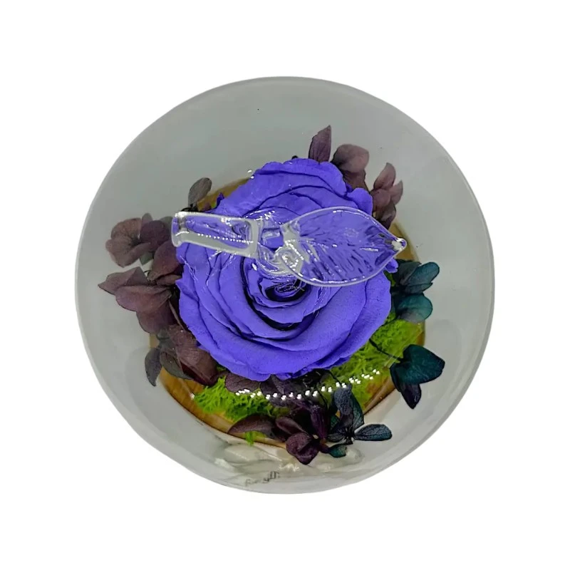 Естествена вечна роза, J19