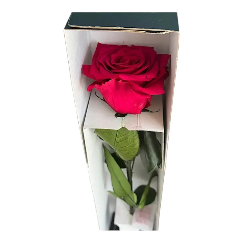 Естествена вечна роза в кутия, Stem Pin 05