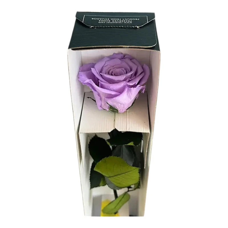 Естествена вечна роза в кутия, Stem Vio 03