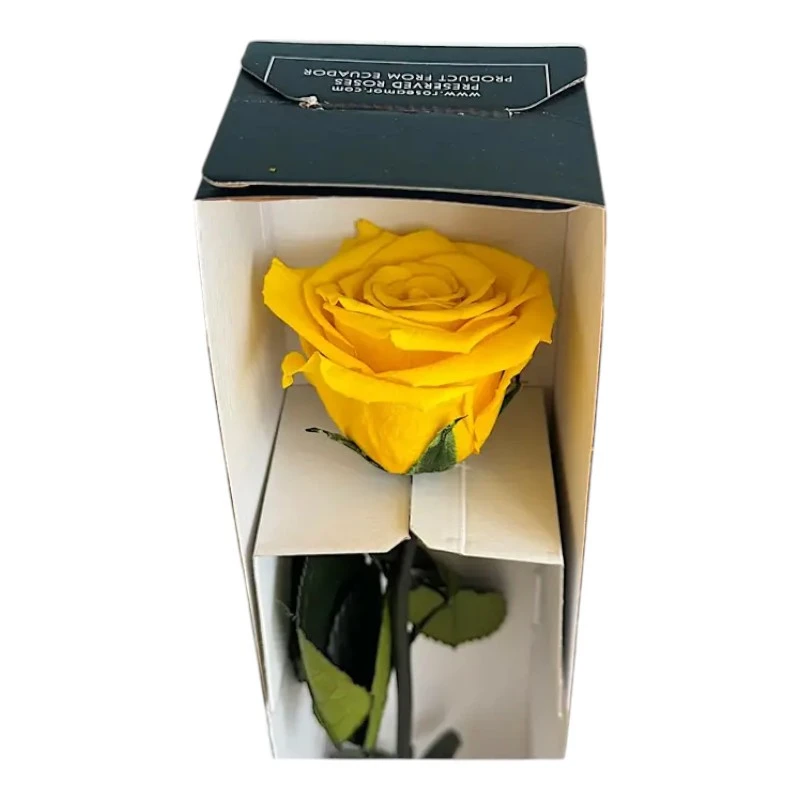 Естествена вечна роза в кутия, Stem Yel 02