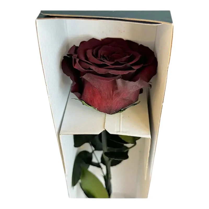 Естествена вечна роза в кутия, Stem Cho 01