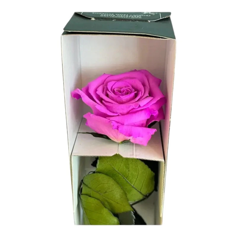 Естествена вечна роза в кутия, Stem Bic 05
