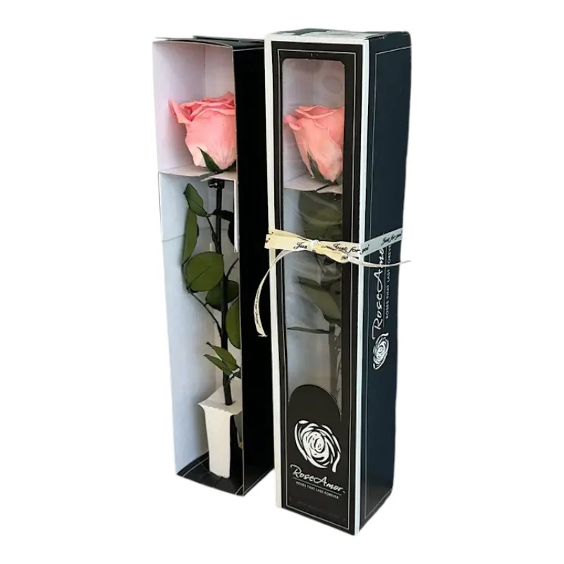 Естествена вечна роза в кутия, Stem Bic 09