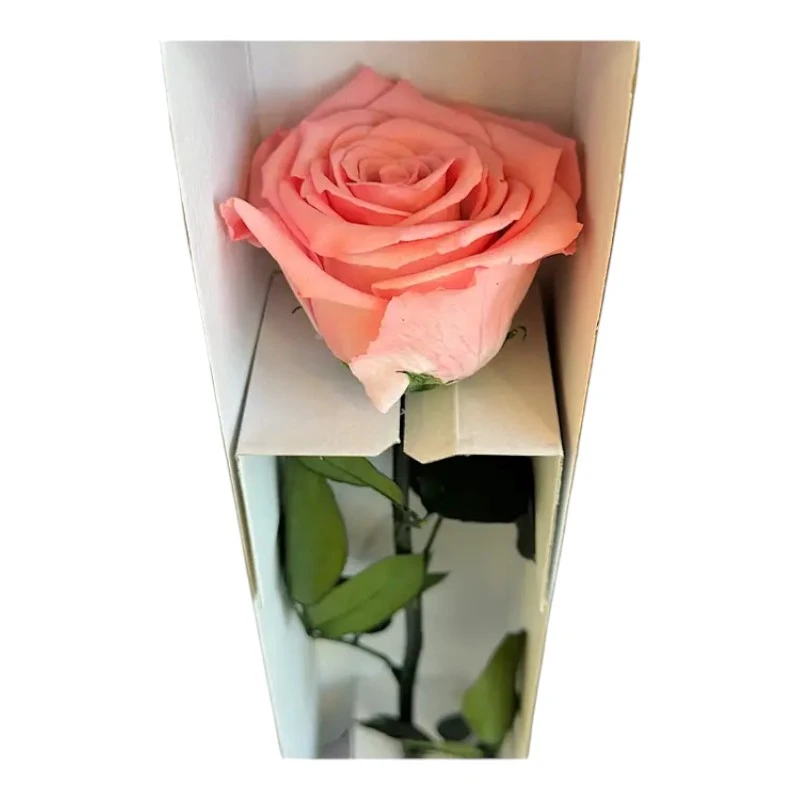 Естествена вечна роза в кутия, Stem Bic 09