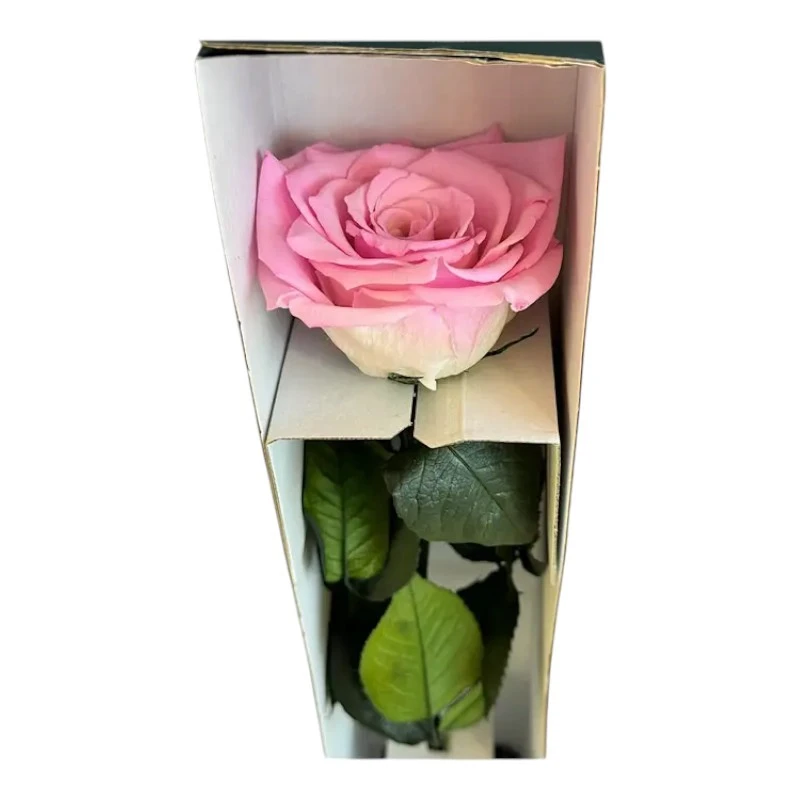 Естествена вечна роза в кутия, Stem Bic 08