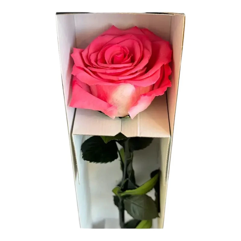 Естествена вечна роза в кутия, Stem Bic 10